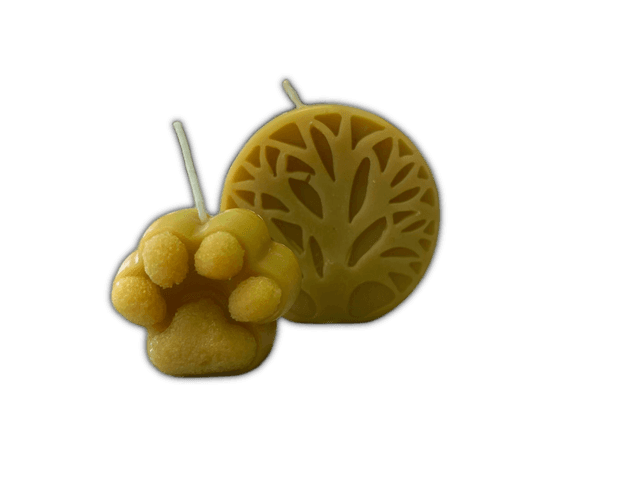 Zampa - Candela in cera d&#039;api naturale